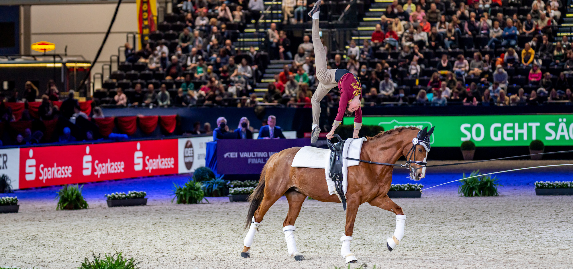 Vaulting Calendar 2024 Vaulting World